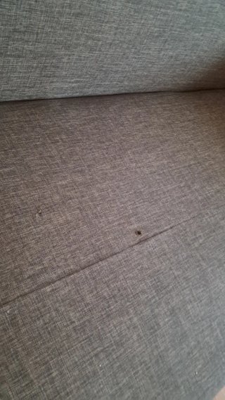 Sofá Cama Gris Tela y Metal