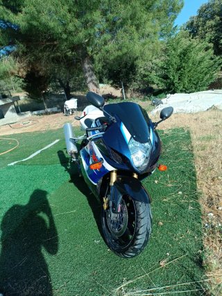 Suzuki GSX-R 1000cc Sportbike Azul/Blanco