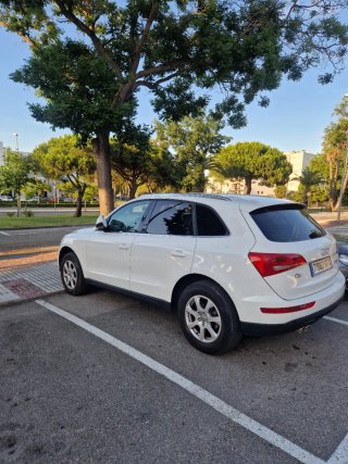Audi Q5 2010