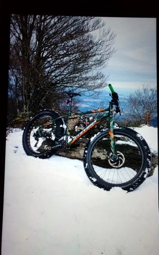 Fat Bike Stevens Mobster