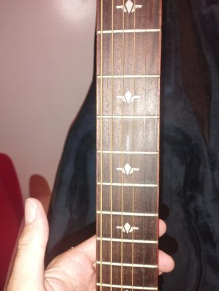 Guitarra Acústica Tanglewood con Funda Rígida