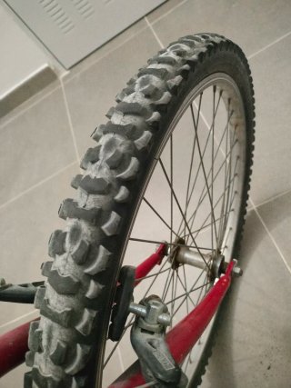 Bicicleta Montaña Rueda 24