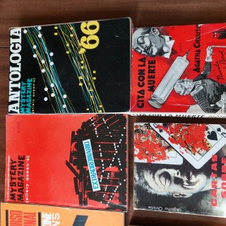 Lote  12 novelas terror