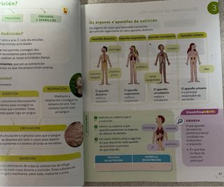 Ciencias da naturaleza, 4° Primaria
