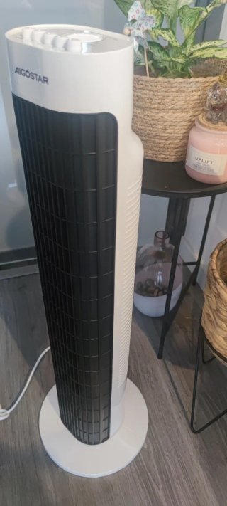 Ventilador Torre Aigostar Negro