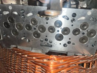 Culata NUEVA Motor 2.0 TDI Bkd