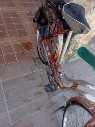 Bicicleta antigua de varilla con todo de serie su