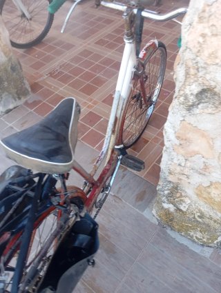 Bicicleta antigua de varilla con todo de serie su