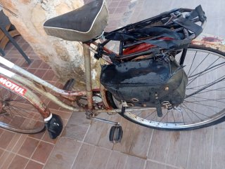 Bicicleta antigua de varilla con todo de serie su
