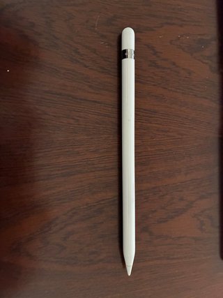 Apple Pencil 1ª Gen
