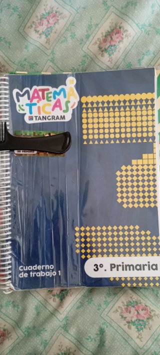 Lore de libros tercero de primaria SM