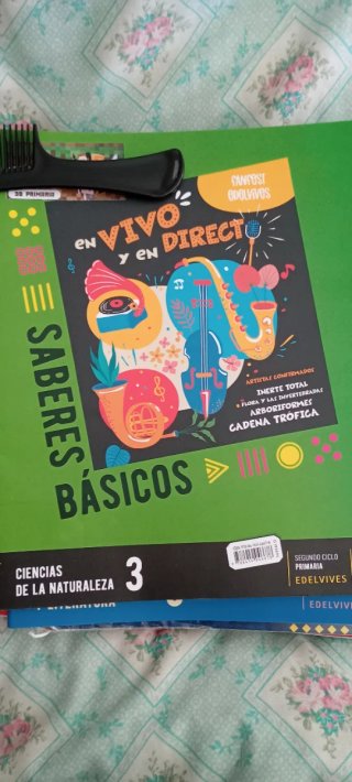 Lore de libros tercero de primaria SM