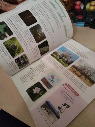 CIENCIAS DA NATUREZA 5 PRIMARIA CONSTRUINDO MUNDOS