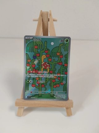 Carta Pokémon Shuckle AR Coreano