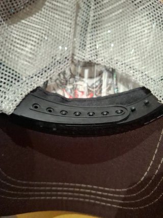 Gorra El Demonio de Tasmania