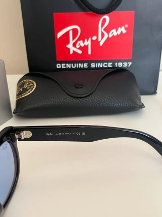 Ray-Ban Wayfarer Reverse RB0502S