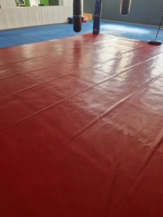 Tatami boxeo+ esquineras, cuerdas. Y puzle.