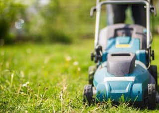 SERVICIO DE DESBROCE Y MANTENIMIENTO DE JARDINES