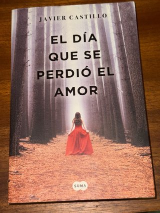El día que se perdió el amor
