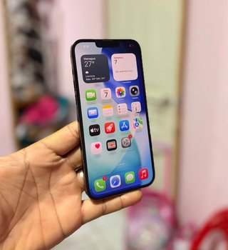 iPhone 13 Pro Max Gris