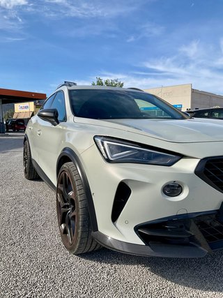 Cupra Formentor 2.5 TSI 287kW (390 CV) VZ5 TG 4Drive DSG