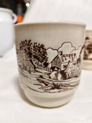 6 Tazas estilo rústico/campestre