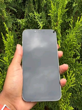 iPhone 13 Pro Max Gris Plata