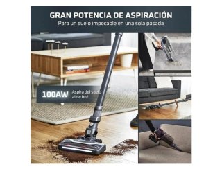 Rowenta XPert 6.60 Aspiradora Escoba