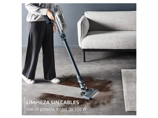 Rowenta XPert 6.60 Aspiradora Escoba