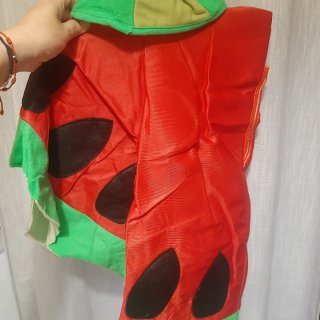 Para familia.Disfraz Sandía Adulto Talla M-L