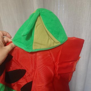 Para familia.Disfraz Sandía Adulto Talla M-L