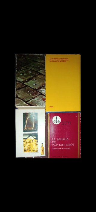 Lote 4 Libros Clásicos y Narrativa (Varios)