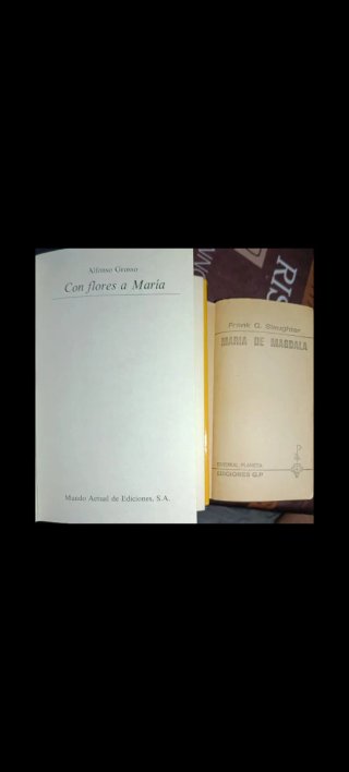 Lote 4 Libros Clásicos y Narrativa (Varios)