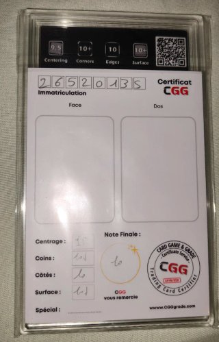 Lucario VSTAR CGG 10 PERFECT