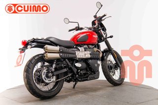 TRIUMPH SCRAMBLER 900
