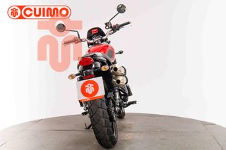TRIUMPH SCRAMBLER 900