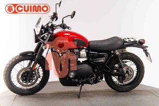 TRIUMPH SCRAMBLER 900