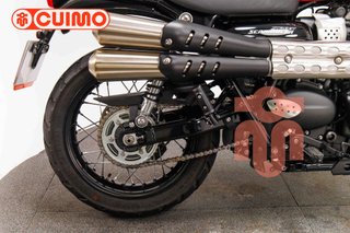 TRIUMPH SCRAMBLER 900