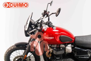 TRIUMPH SCRAMBLER 900