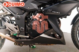 KAWASAKI Z 300