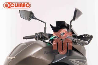 KAWASAKI Z 300