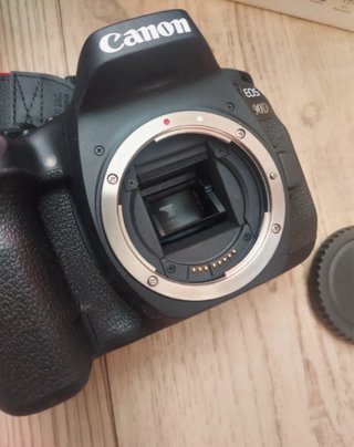 Canon EOS 90D + 2 objetivos