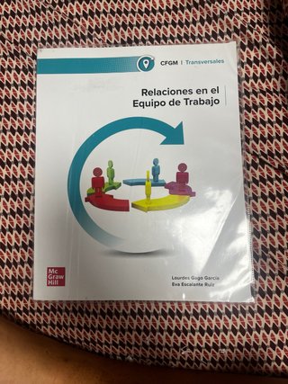 Relaciones en el equipo de trabajo Grado Medio