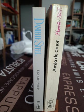 Lote 2 Novelas: Danielle Steel (Romántica)
