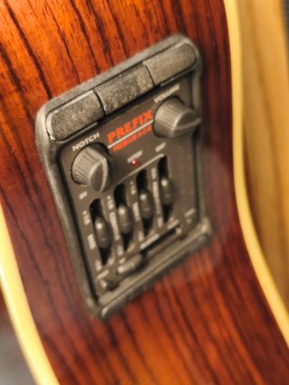 Parkwood PW-560 Electrificada