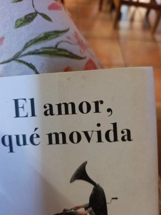 El amor, qué movida