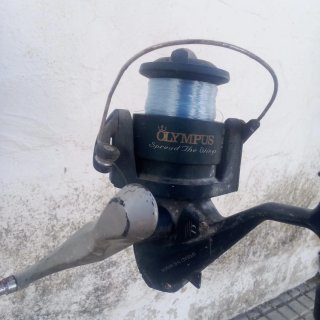 Caña de pescar EDIA PL-215