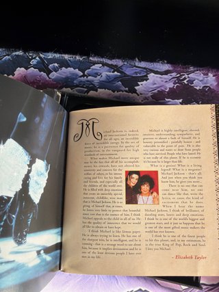 Michael Jackson HIStory Past, Present & Future 2cd