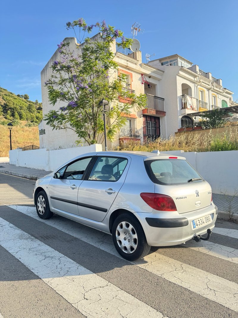Peugeot 307 2004 - foto 1