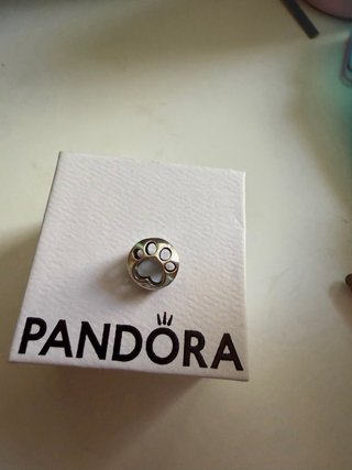 Charm Pandora zampa cane argento